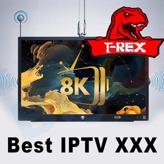 8K IPTV Server From Europe Subscription IPTV Romania France Germany Nederland Diamond IPTV 