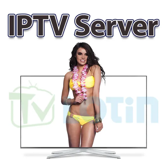 Best European IPTV M3u List Subscription Free Trial with 4K Quality 12 Months Code for Smart TV IPTV Servers Strong 8K Zen4K Sltv Maxhd Dino Trex 