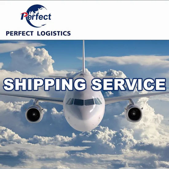 Cheap Sea Freight a Good Forward Agent China to United Kingdom Ireland 